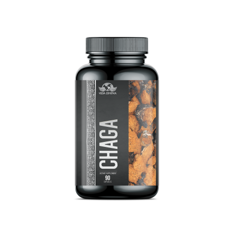 Chaga